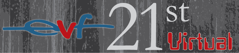 1620366486_Virtual-Website-Banner-400x90px-RGB.jpg