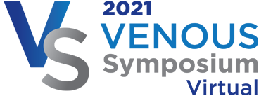 1613527963_vs-virtual-logo2021.png